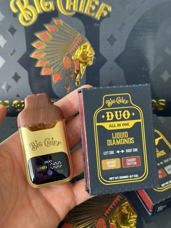 Big Chief Duo 2G Disposable